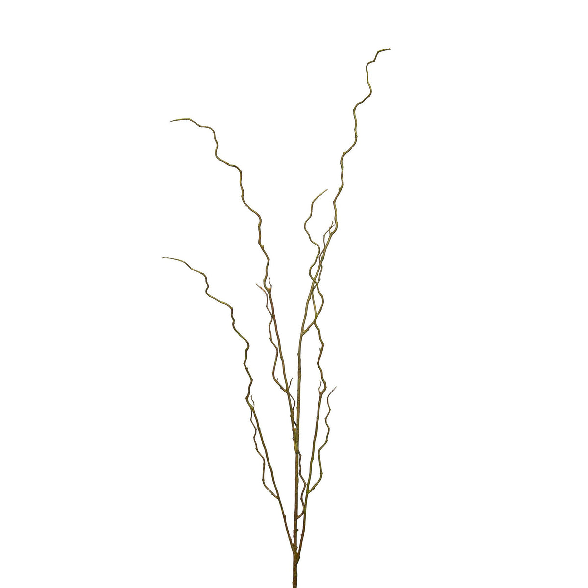 Mills Floral Company - Curly Willow Branch - 51 Inch