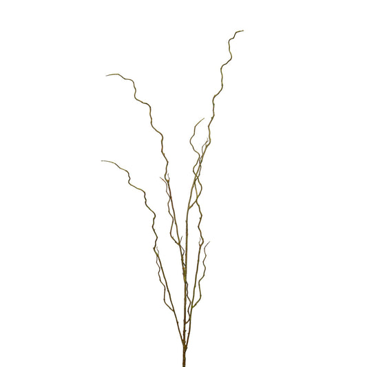Mills Floral Company - Curly Willow Branch - 51 Inch