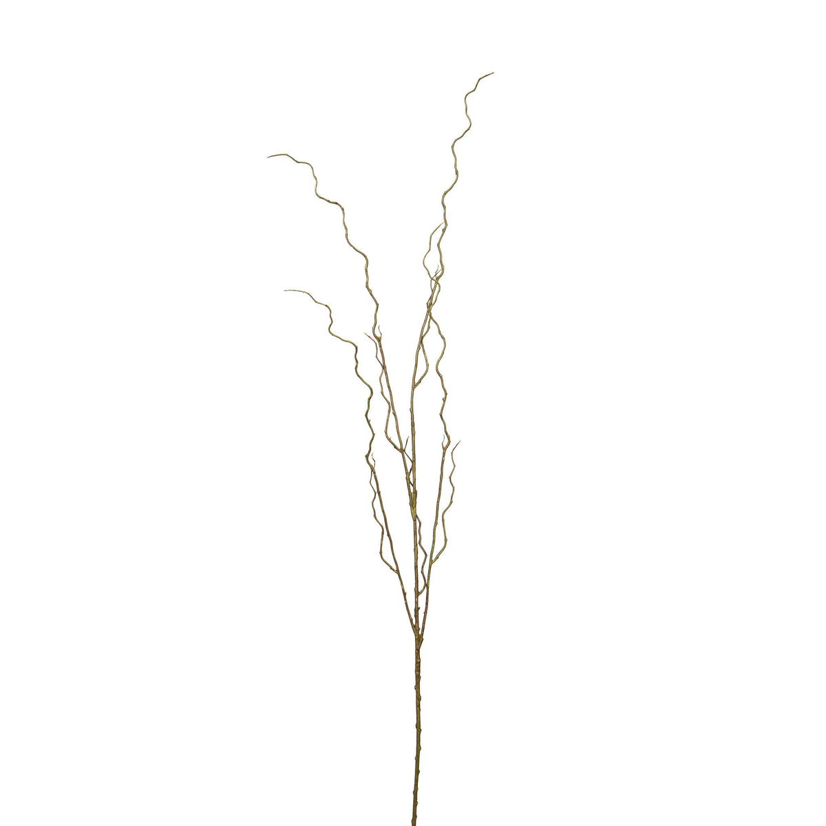 Mills Floral Company - Curly Willow Branch - 51 Inch