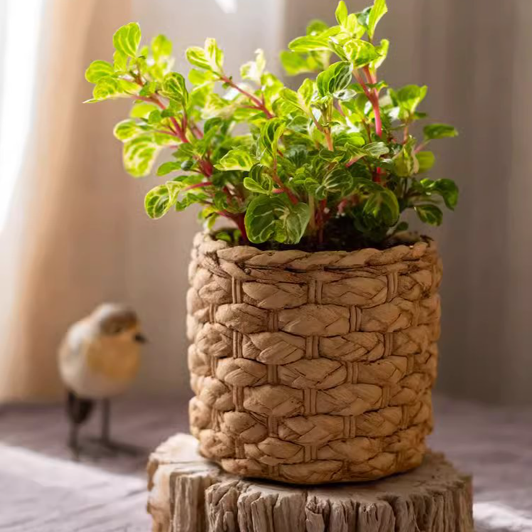 Grass Woven Looking Cement Planter: Small