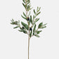 Prestige Botanicals - Olive Leaf Branch 33"