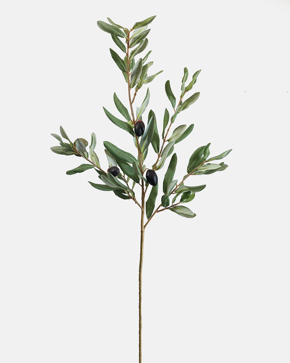 Prestige Botanicals - Olive Leaf Branch 33"