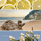 Sweet Water Decor - *NEW* Coastal Lemon 9 oz Soy Candle - Home Decor & Gifts