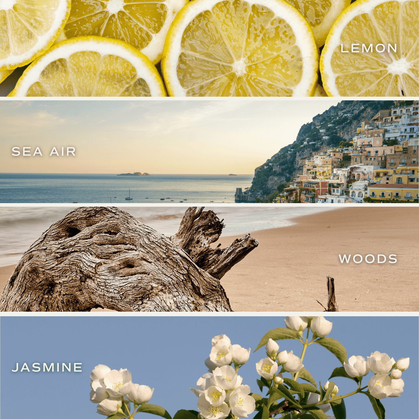 Sweet Water Decor - *NEW* Coastal Lemon 9 oz Soy Candle - Home Decor & Gifts