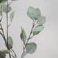 Prestige Botanicals - Faux Eucalyptus Leaves 35.5"