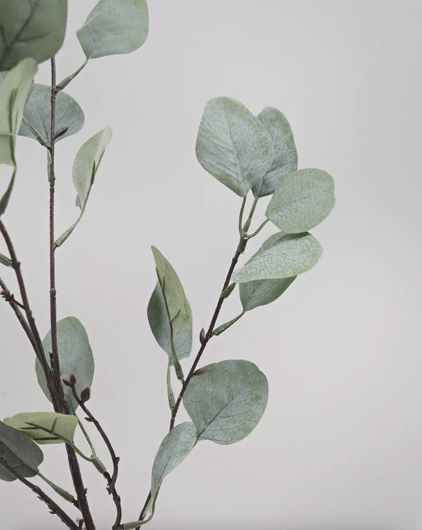 Prestige Botanicals - Faux Eucalyptus Leaves 35.5"