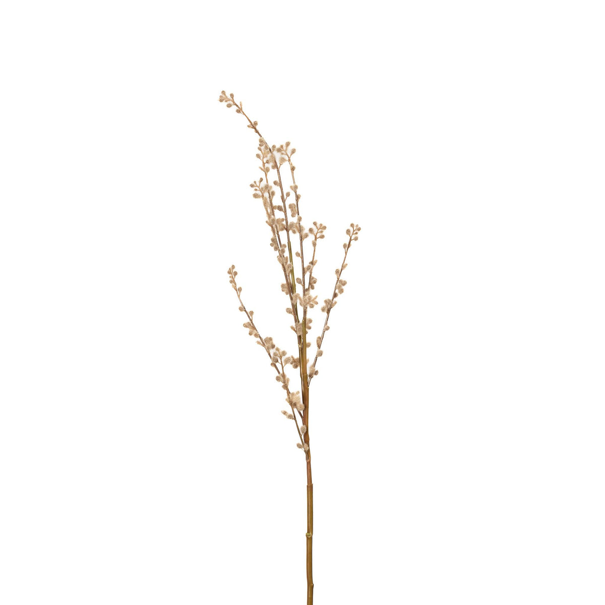 Mills Floral Company - Pussy Willow Branch - 32 Inch
