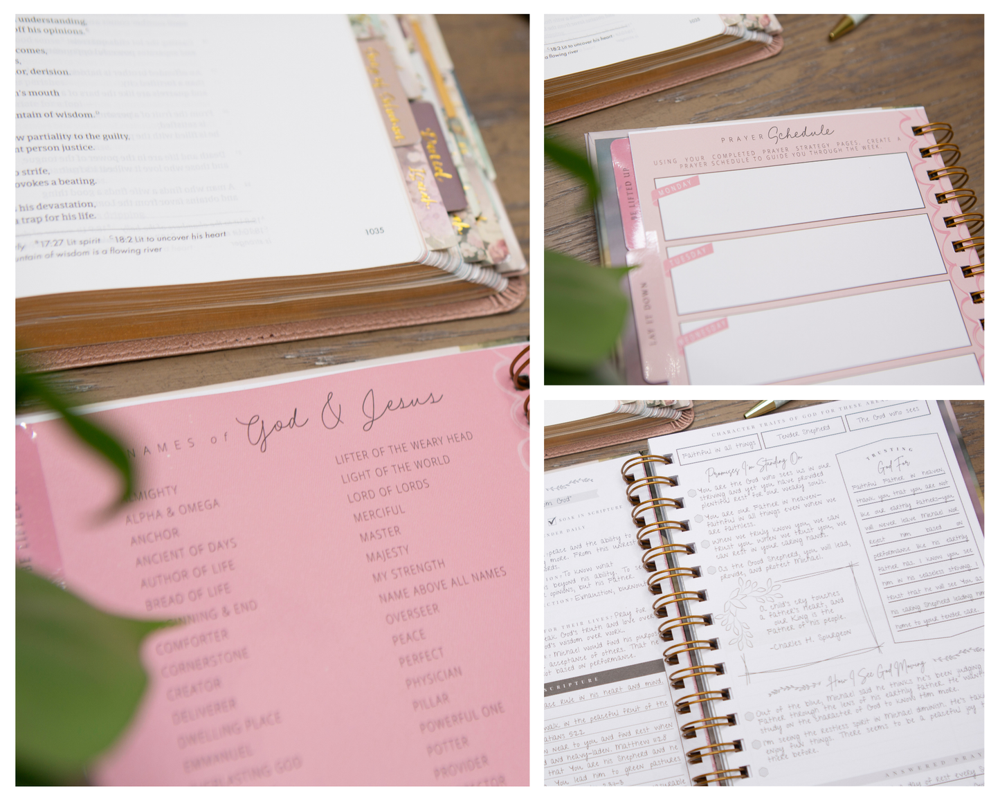 Chosen & Cherished - It Is Well Womens Prayer Journal | Guided Prayer Journal