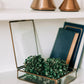 Antiqued Brass Keepsake Box