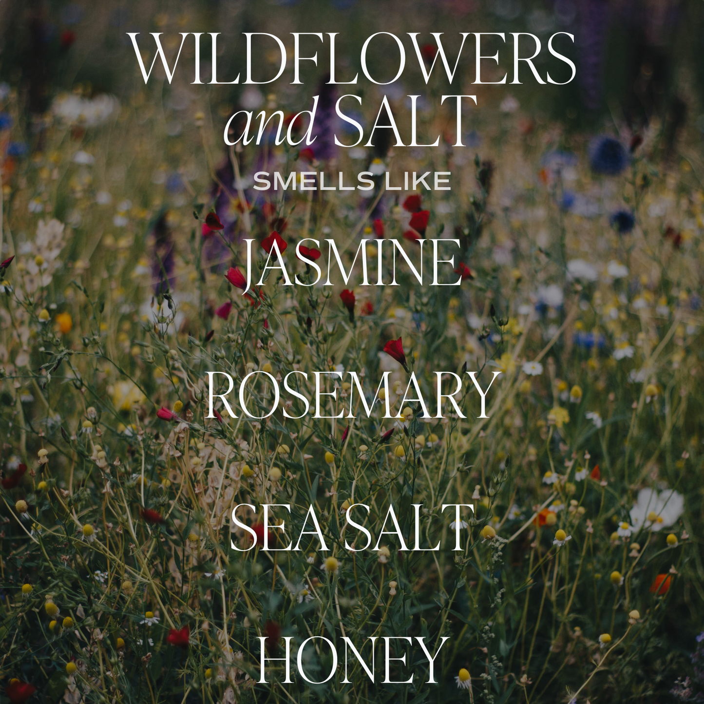 Hanging Air Freshener: WILDFLOWERS & SALT