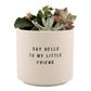 Santa Barbara Design Studio by Creative Brands - Ceramic Planting Pots - Set of 2: Material