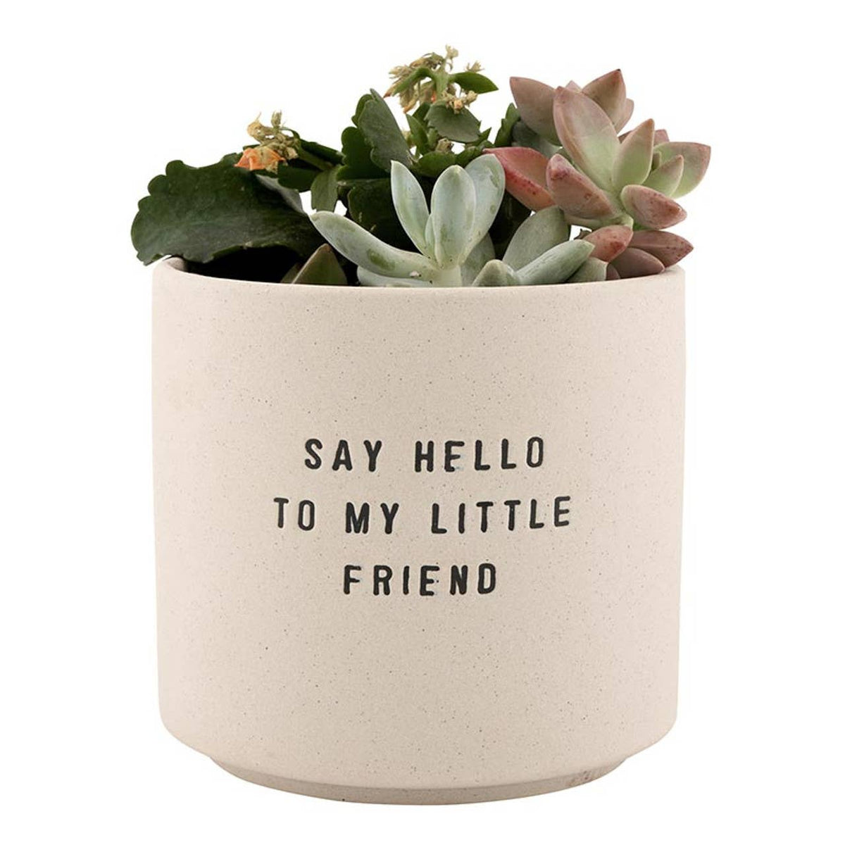 Santa Barbara Design Studio by Creative Brands - Ceramic Planting Pots - Set of 2: Material