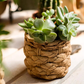 Grass Woven Looking Cement Planter: Small