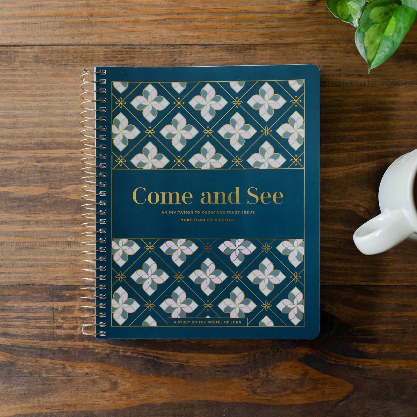The Daily Grace Co - Come and See Bible Study
