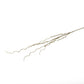 Mills Floral Company - Curly Willow Branch - 51 Inch