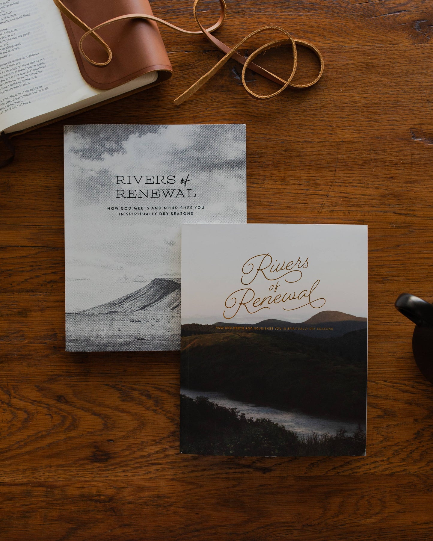 The Daily Grace Co - Rivers of Renewal Bible Study