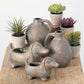 Handled Bot of Vase: Set Of 2
