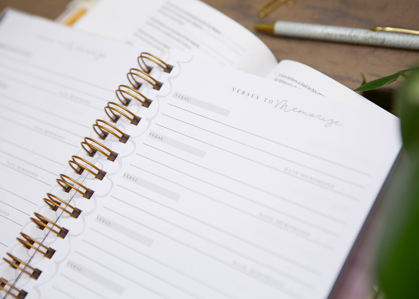 Chosen & Cherished - It Is Well Womens Prayer Journal | Guided Prayer Journal