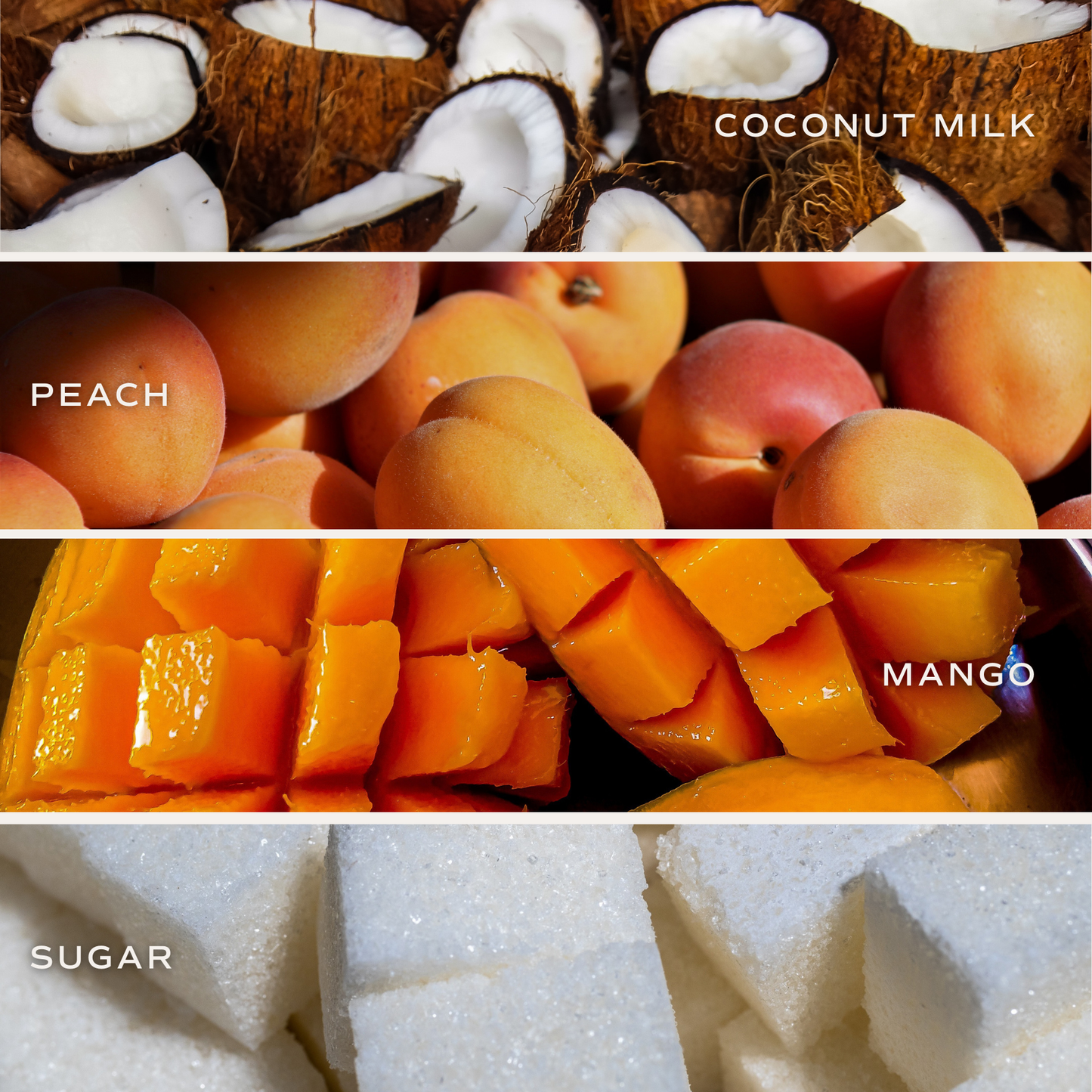 Candle: Mango and Coconut 12 oz