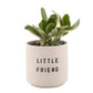 Santa Barbara Design Studio by Creative Brands - Ceramic Planting Pots - Set of 2: Material