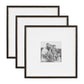 Kate and Laurel - Wilbanks Picture Frame Set: 18x18 matted to 8x8