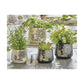 Foliage Footed Planter Large - Green
