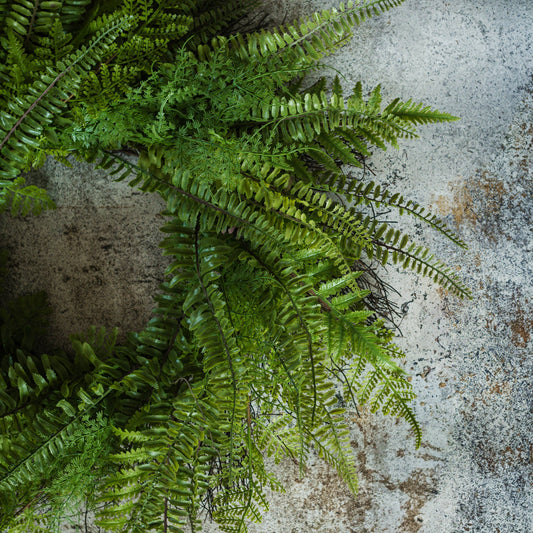 Lacey Fern Wreath: 26"