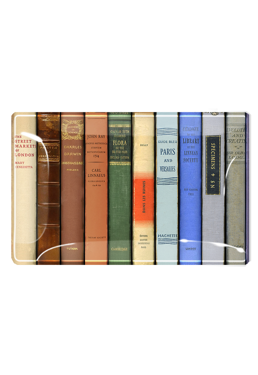Ben's Garden - Vintage Library Reserve Decoupage Glass Tray: 4"X 6"
