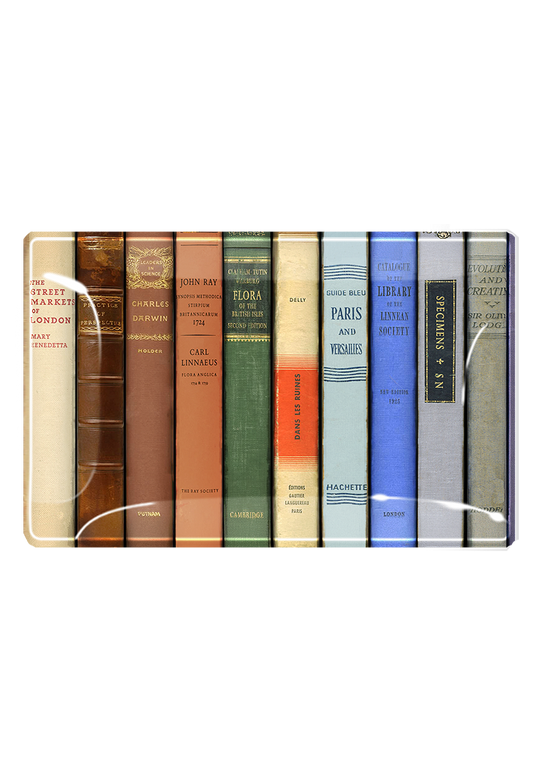 Ben's Garden - Vintage Library Reserve Decoupage Glass Tray: 4"X 6"