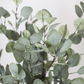 Prestige Botanicals - Faux Eucalyptus Leaves 35.5"