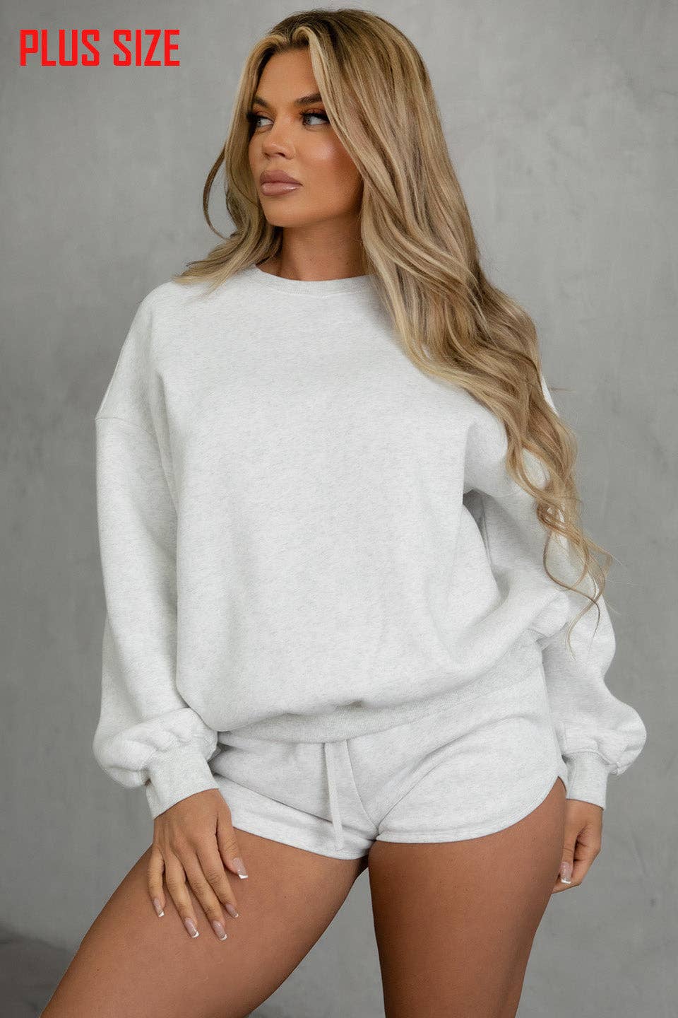 Fleece Crew Neck Pullover Sweatshirt: WHITE