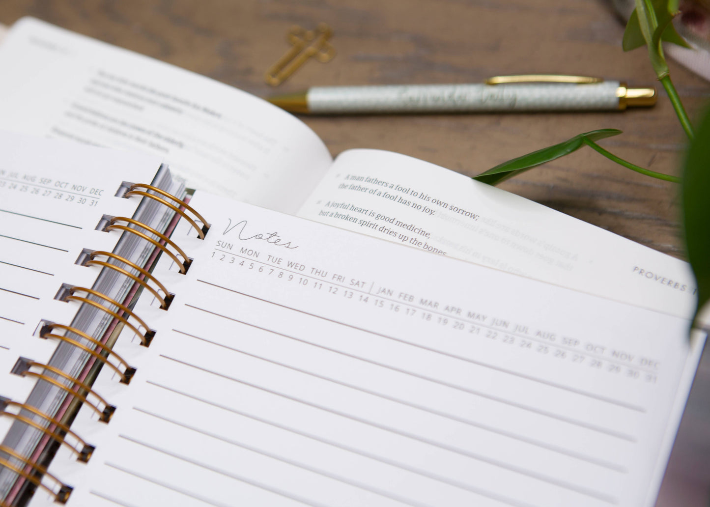 Chosen & Cherished - New Mercies Prayer Journal for Women