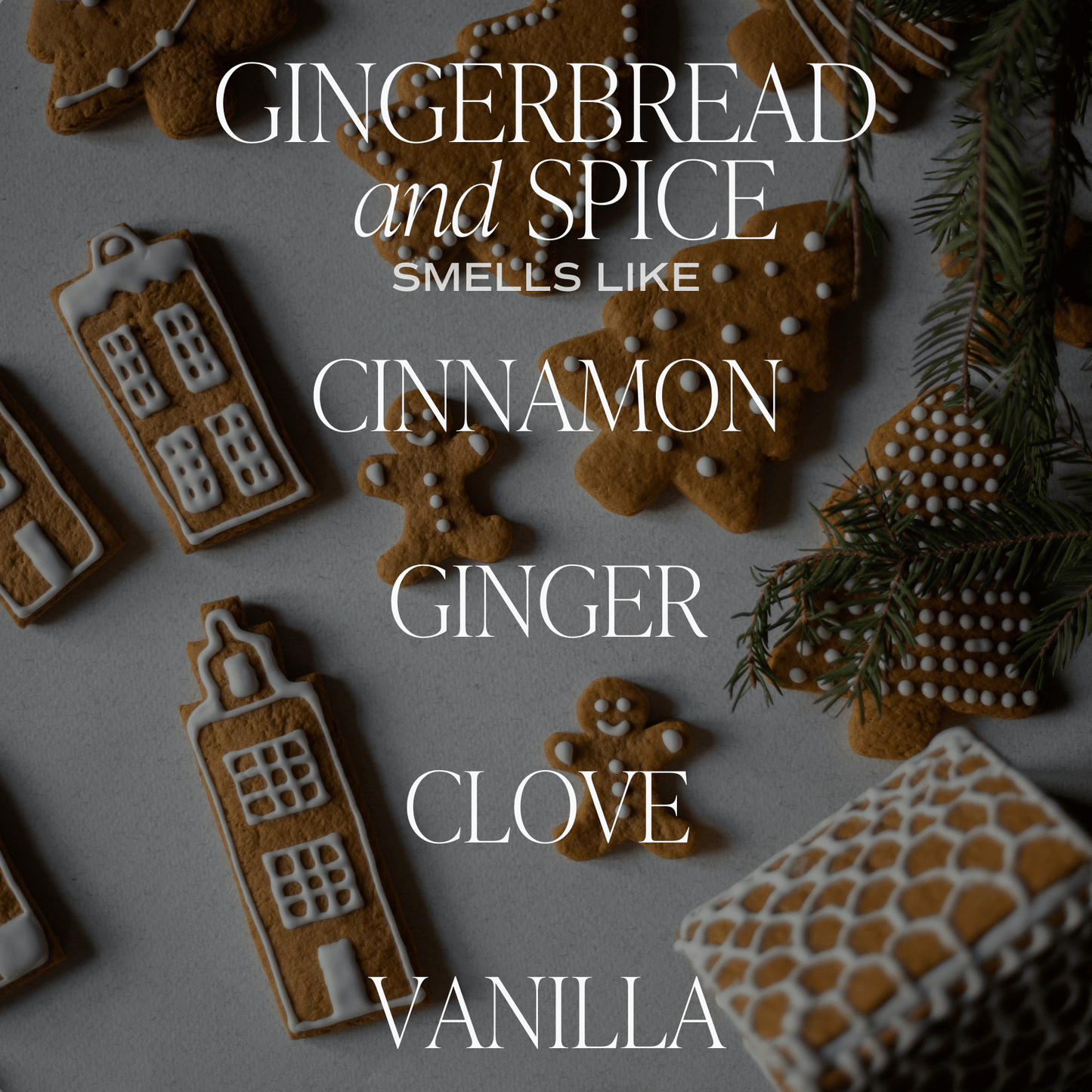 Candle: Gingerbread and Spice 15 oz Soy Candle, Matte Jar