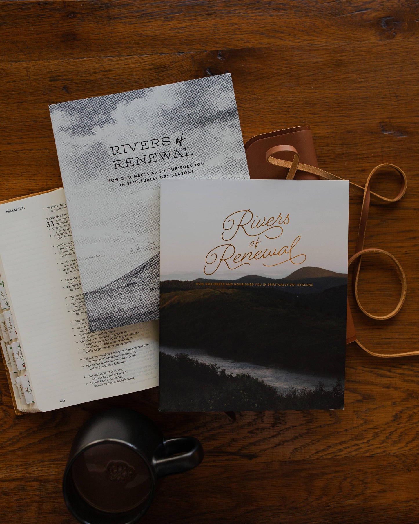 The Daily Grace Co - Rivers of Renewal Bible Study