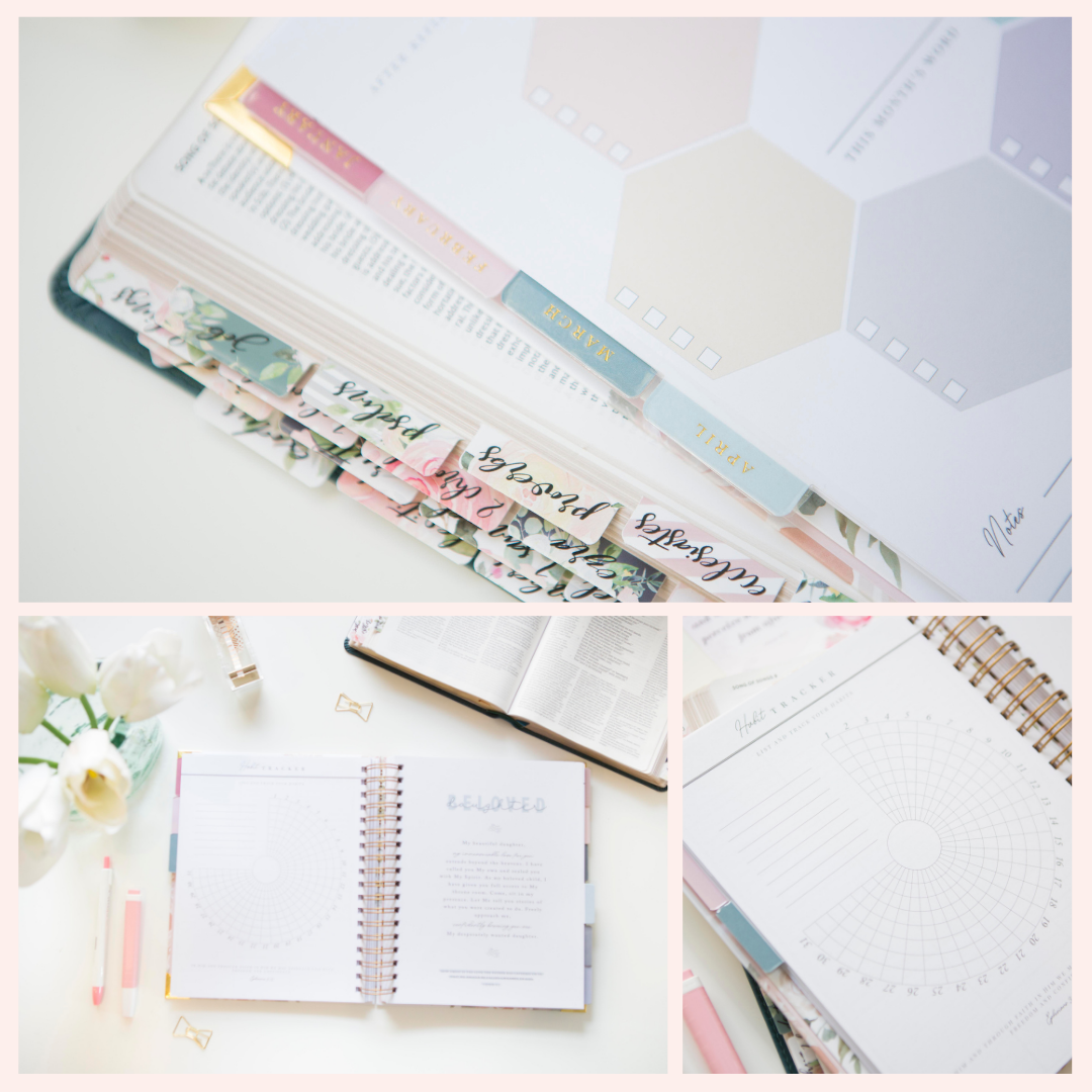 Chosen & Cherished - Arise Christian Planner | Christian Daily Planner for Goals
