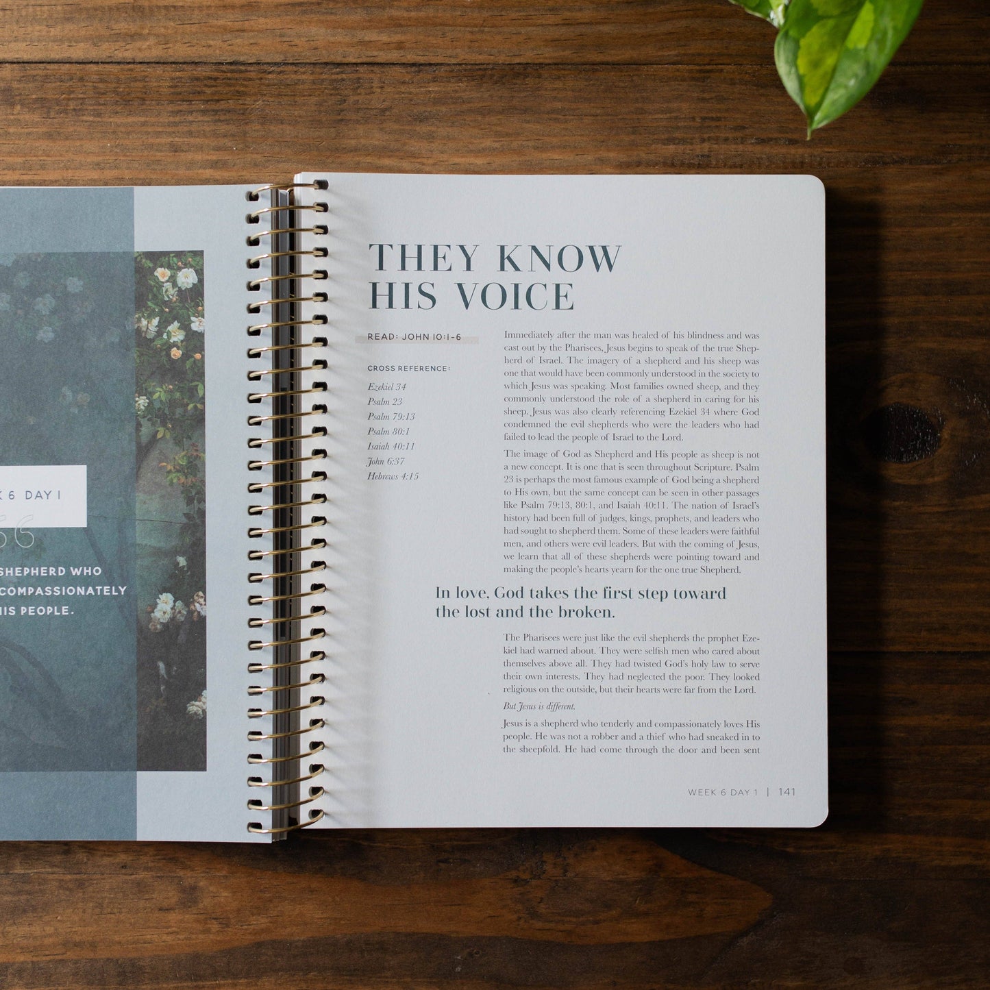 The Daily Grace Co - Come and See Bible Study