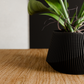 Modern Indoor Planter | Midnight Black / 6 Inches