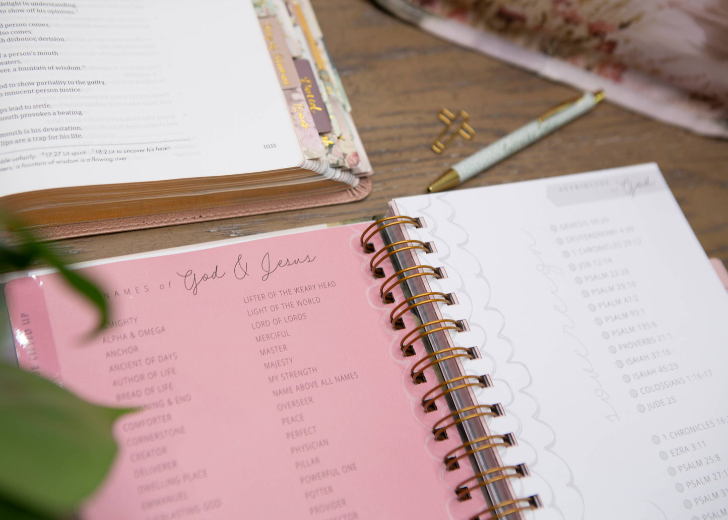 Chosen & Cherished - New Mercies Prayer Journal for Women