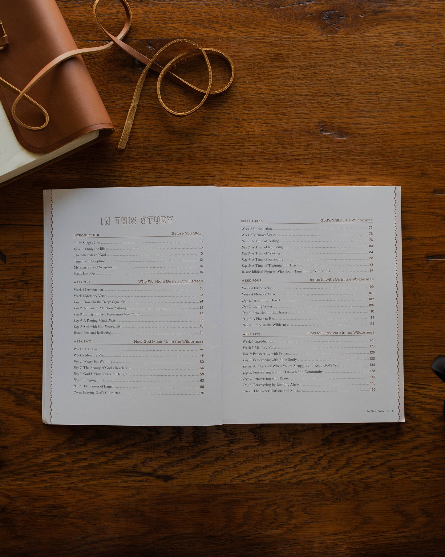 The Daily Grace Co - Rivers of Renewal Bible Study