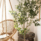 Artificial Olive Tree: Large