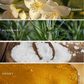 Sweet Water Decor - Wildflowers & Salt 12 oz Soy Candle - Home Decor and Gifts