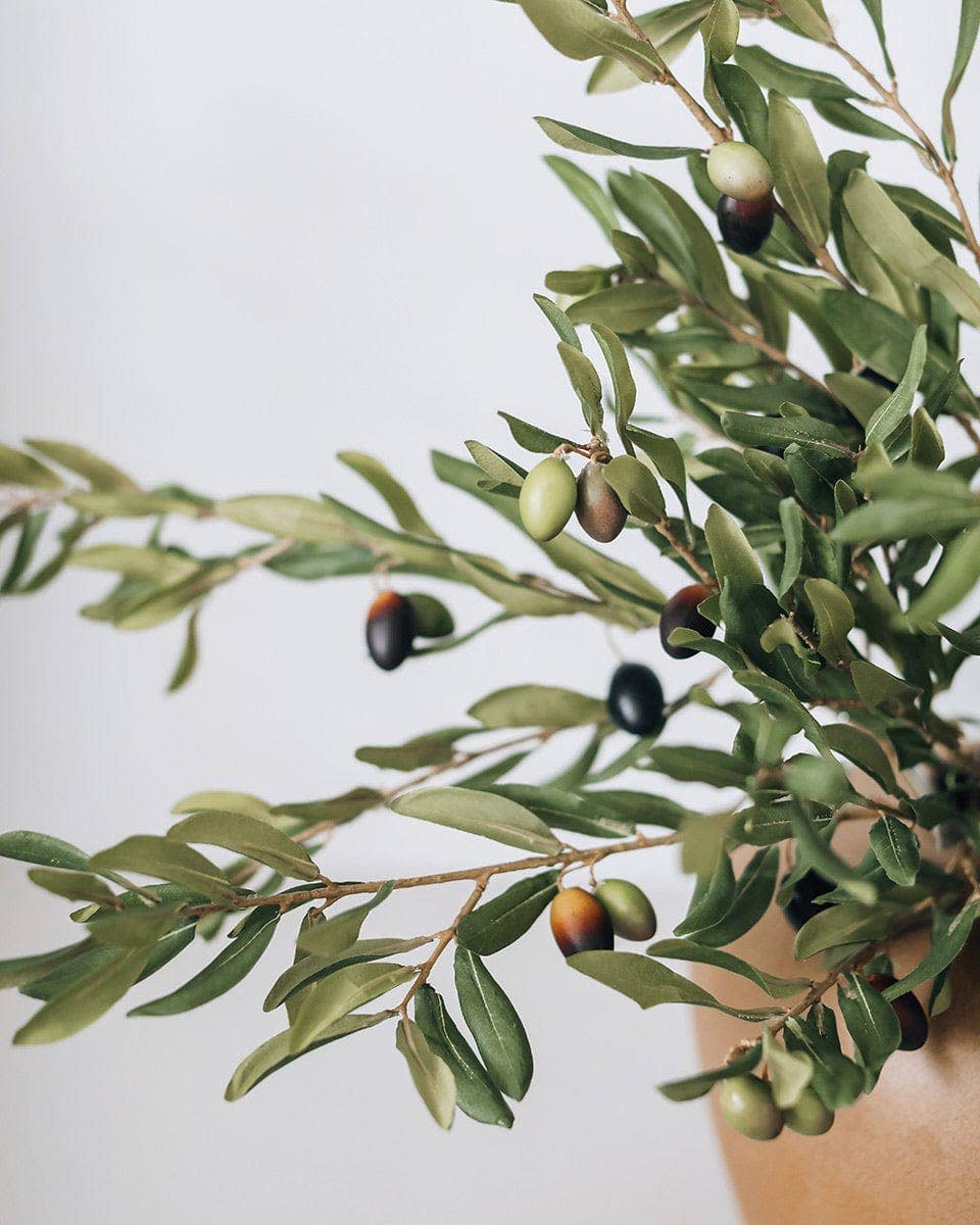 Prestige Botanicals - Olive Leaf Branch 33"