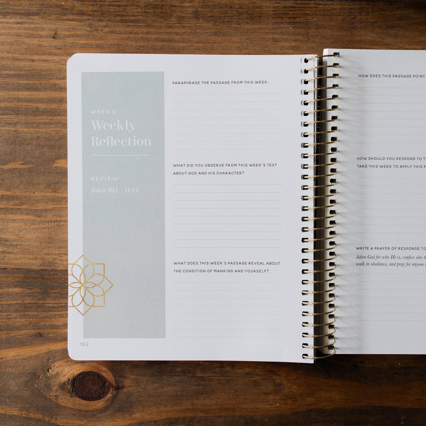 The Daily Grace Co - Come and See Bible Study