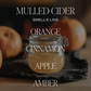 Candle: Spiced Apple Cider 15 oz Soy Candle, Matte Jar
