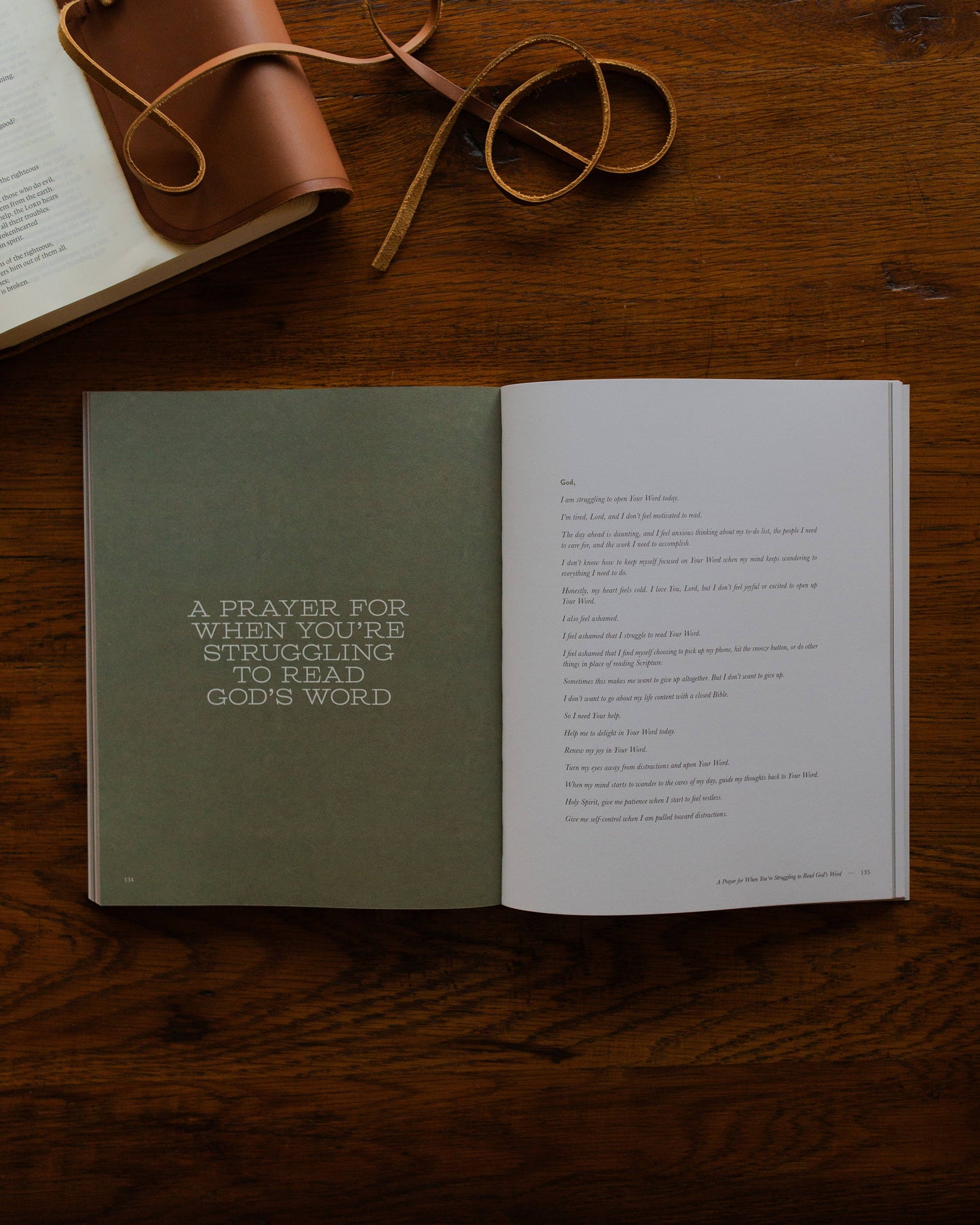 The Daily Grace Co - Rivers of Renewal Men's Bible Study