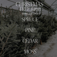 Candle: Christmas Tree Farm 15 oz Matte Soy Candle
