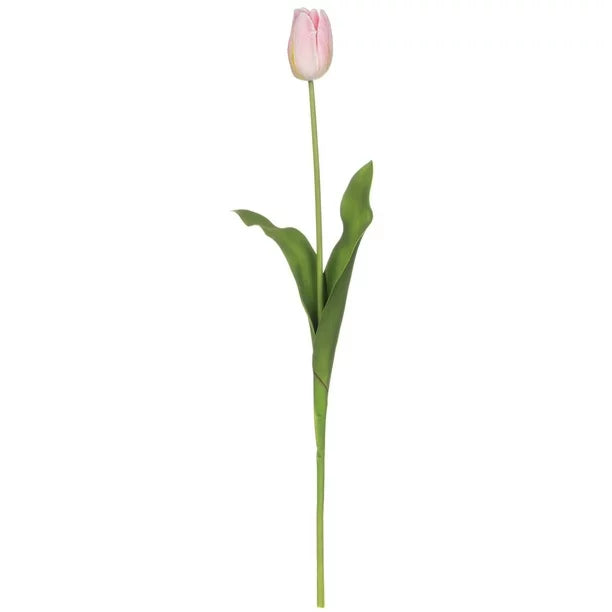 Small Tulip Stem