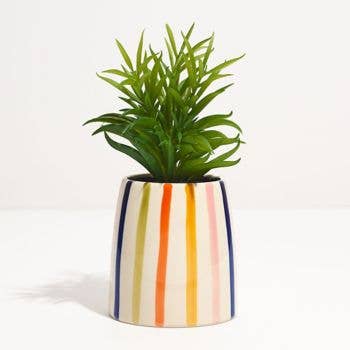 Rainbow Striped Planter