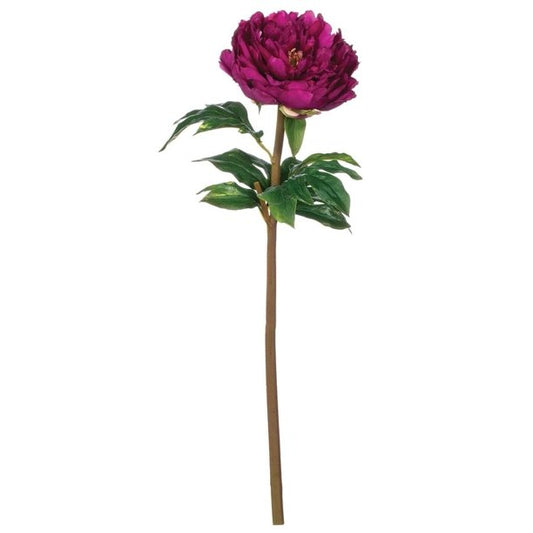 Magenta Peony Stem