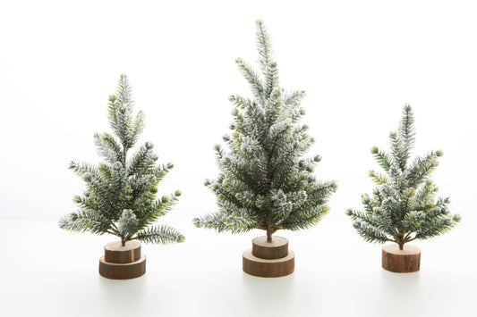 Mini Faux Fir Tree w/ Wood Base & Flocking- Set of 3